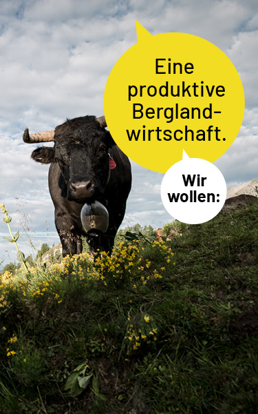 CSPO_Slider_Berglandschaft